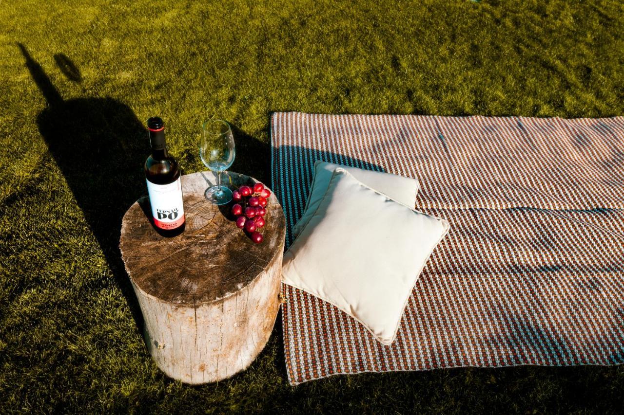 Gospodarstwo agroturystyczne Delmira Vineyard House